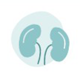 Urologie & Néphrologie